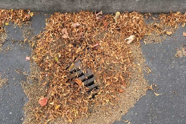 Feuilles et terre qui bouchent un regard d'évacuation extérieure