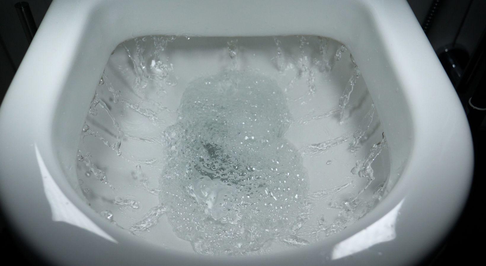 WC bouchés à Toulouse et l'eau qui remonte